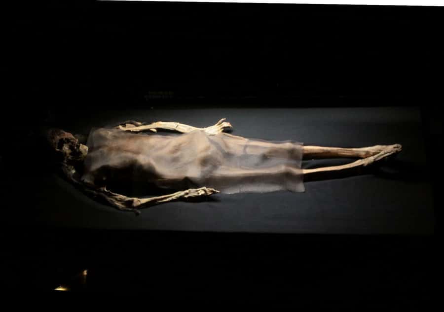 Trujillo: El Brujo Complex Archaeological Tour with Tickets - Timing, comfort, and what to bring