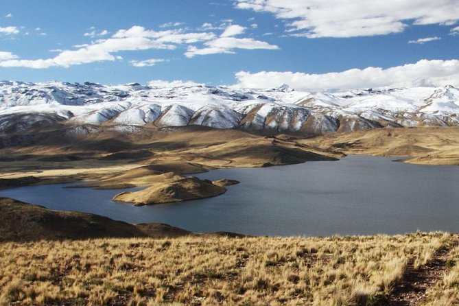 Turist Bus Colca Canyon (Chivay) To Puno - Patahuasi in Aguada Blanca National Reserve