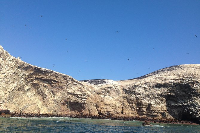 Ultimate Comfort: Lima to Huacachina, Ballestas and Vineyard - Huacachina and the desert activities