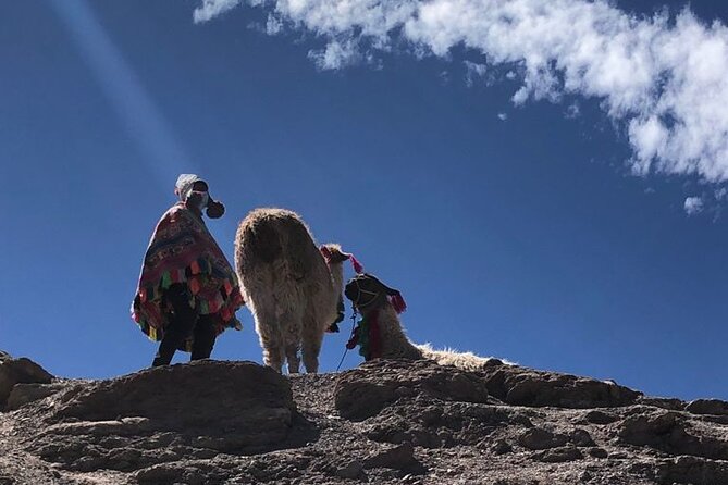 Vinicunca Rainbow Mountain Full-Day Tour from Cusco - The descent, lunch, and long return to Cusco