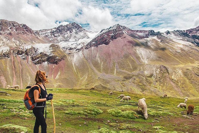 Vinicunca Rainbow Mountain in one day, private with Peru Vip - The one-hour climb can feel much longer