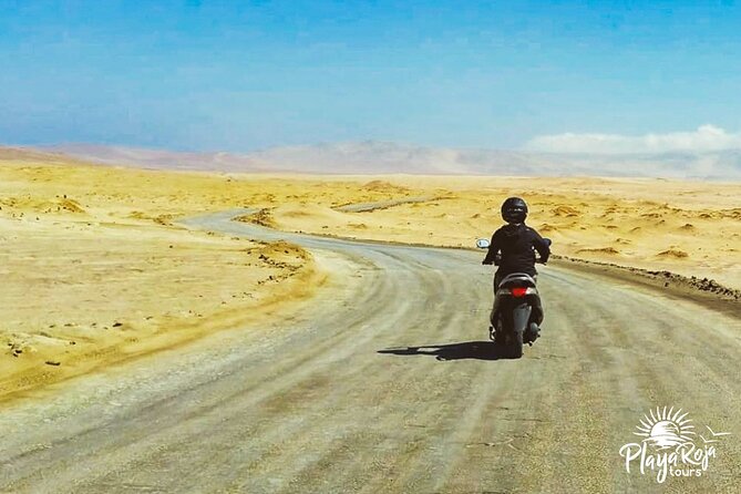 Visit the Paracas National Reserve on a SCOOTER - What the $35 price really covers