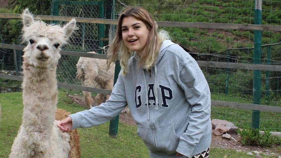 Visit to the Cochahuasi Animal Sanctuary with rescued animal - What the $50 Price Really Covers
