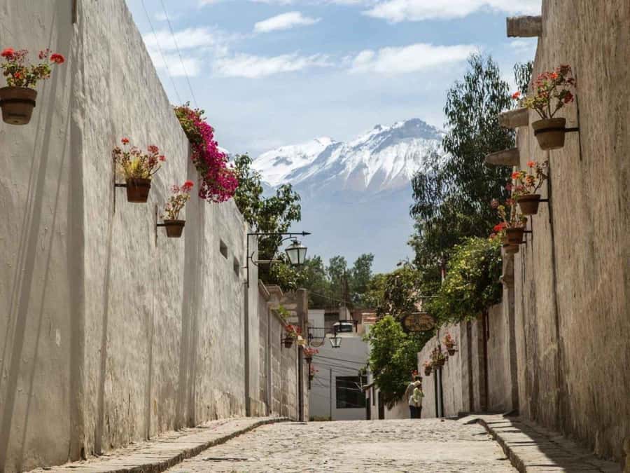 Walking tour in the Historic Center of Arequipa - Optional museum visits and extra entrance fees
