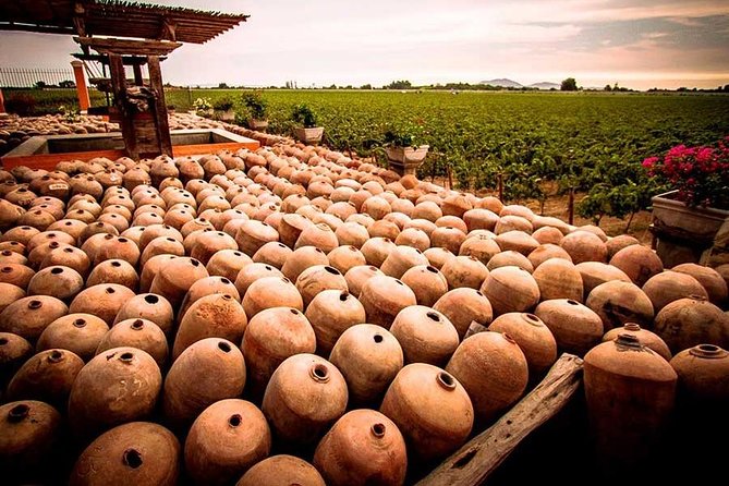 Winery and Pisco Distillery tour - What the tastings are really worth