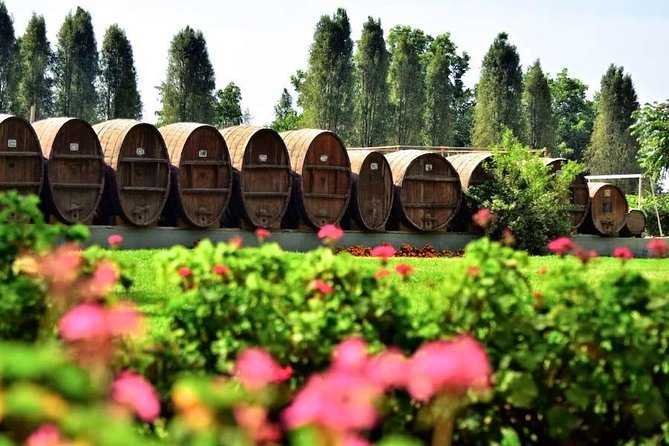 Winery and Pisco Distillery tour - Transport, timing, and group size