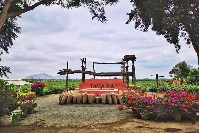 Winery and Pisco Distillery tour - Bodega Nietto and a family story from 1857